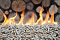 Rejuvenating Earth Renewable Energy Conservation Green Technology Green Social Networking
